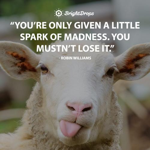 001-funny-inspirational-quotes_1749332619.jpg