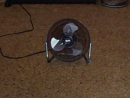 01-fans_1736025645.jpg