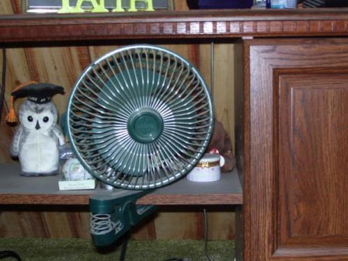 02-fans_1736025657.jpg