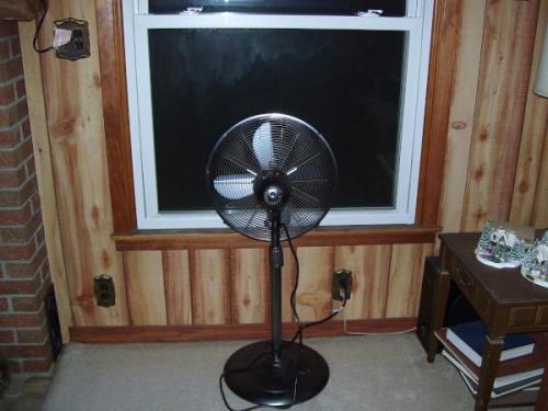 05-fans_1736025700.jpg