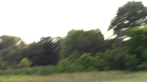 09-out19_1736726460.png