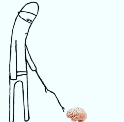 1000004249_1749812199.jpg