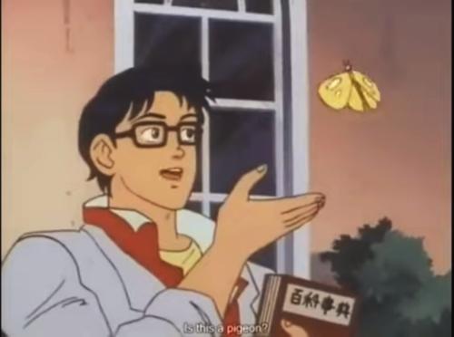 1000006646_1718429299.jpg
