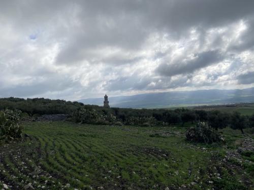 1000956567_1746193764.jpg