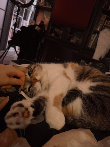 124_1749957980.jpg