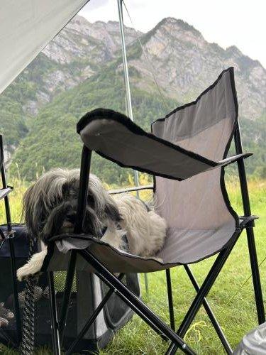1662310516_1662319999.IMG_1970.jpeg