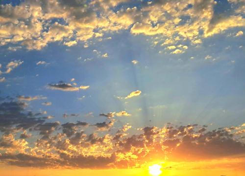 20230708-065322_1743408930.jpg