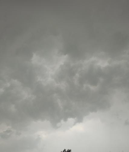 20250520-093233_1747713940.jpg