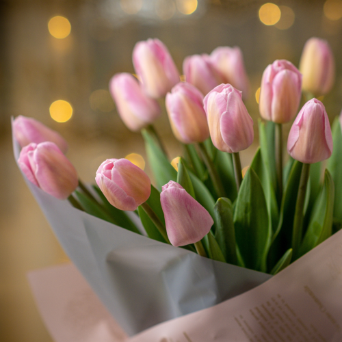 2_1744564122.png