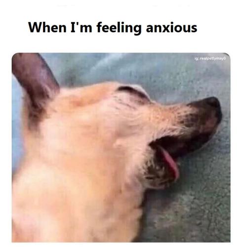 480475413-930267359322527-3379572676159230646-n_1740519428.jpg