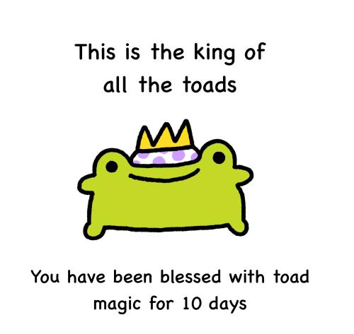 491843679-1235472501275033-396918693968214712-n_1748574358.jpg