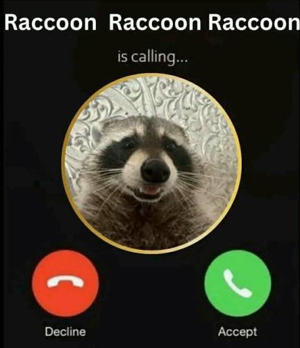 541753910-774287528684389-7902665168591637206-n_1757395879.jpg