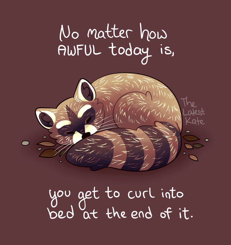 _1638646746.image.png