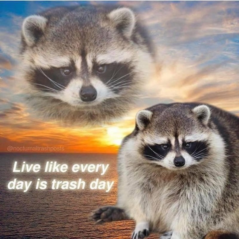 _1640737872.trash pamda.jpeg