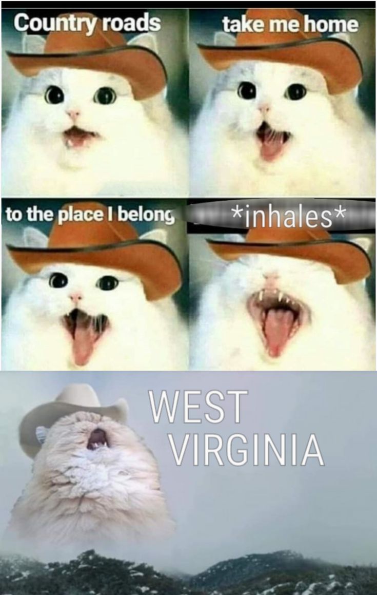 _1640800797.Best boi.jpg