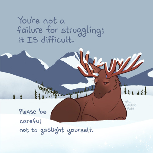 _1641063514.image.png
