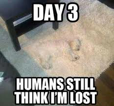 _1642356864.image.png