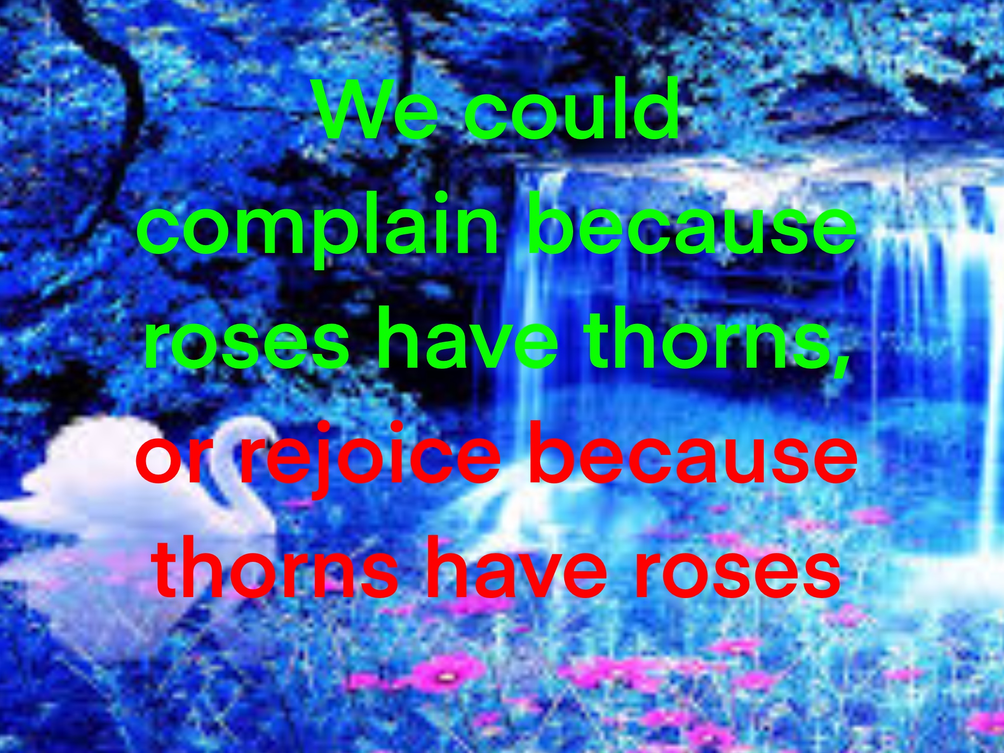 _1642508951.C6C52C72-974C-456C-8275-1CCE85302FCB.jpeg