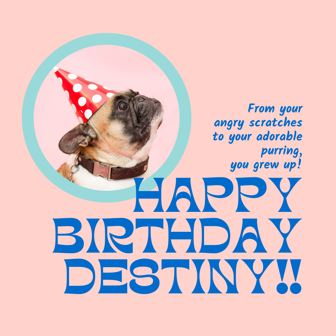 _1643173067.Happy Birthday Destiny!!.png
