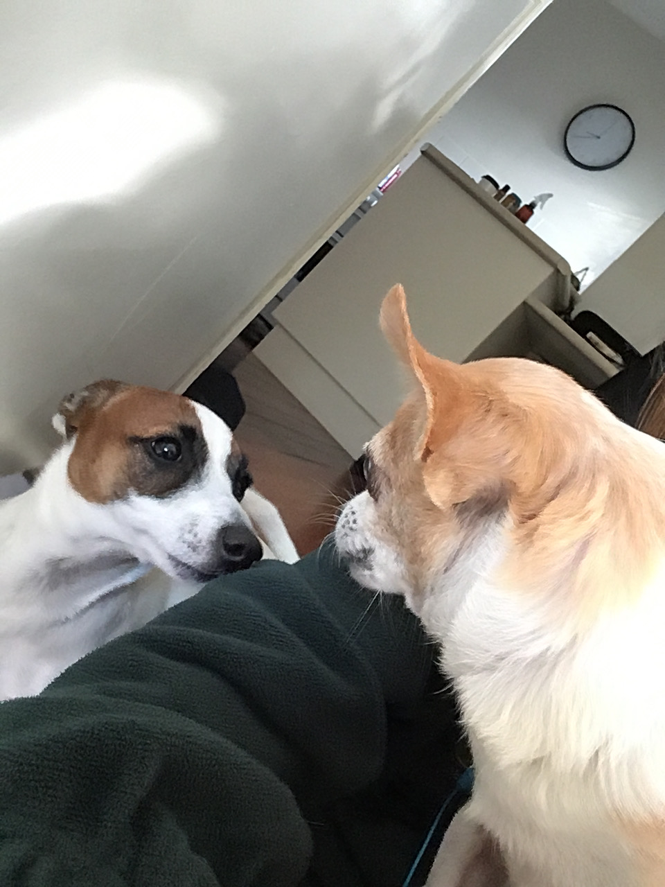 _1643336868.7A017F2C-D5E0-49E5-BF75-561489C0A338.jpeg