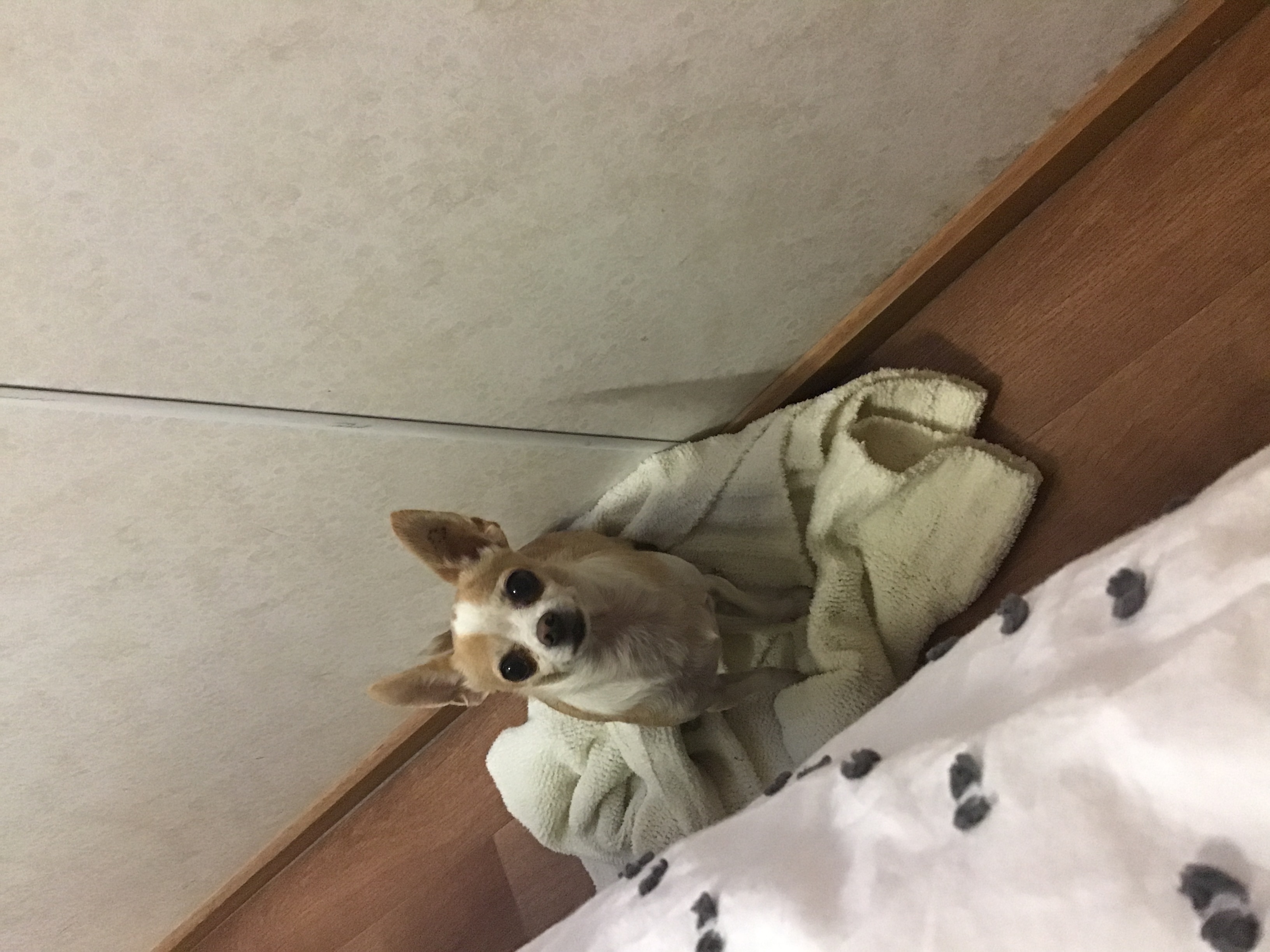 _1643754735.E534F3DA-E211-4625-BD03-6C0554C0A481.jpeg