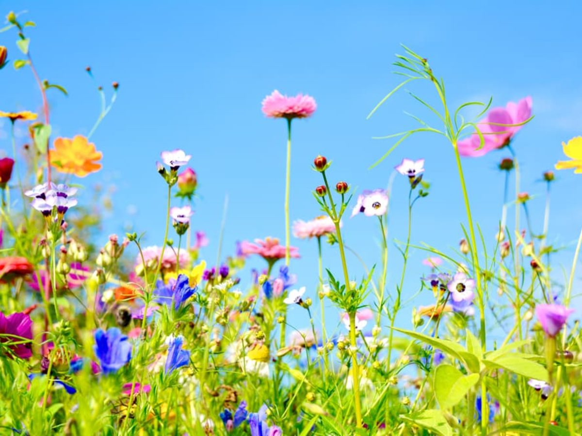 _1645027502.image.png