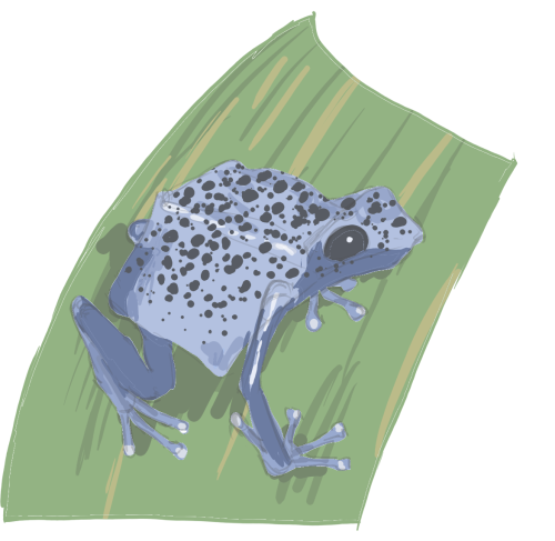 _1648528256.sketch335c.png