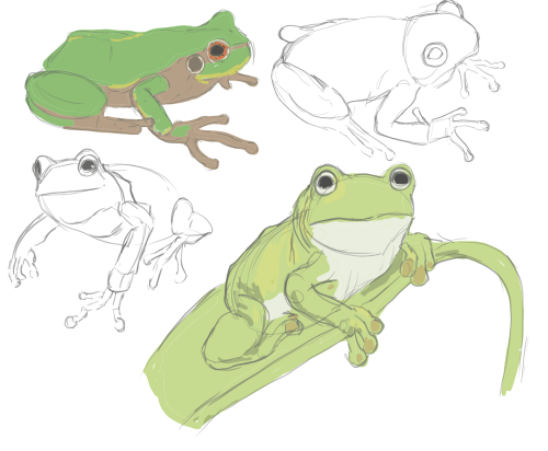 _1648528268.sketch336.png