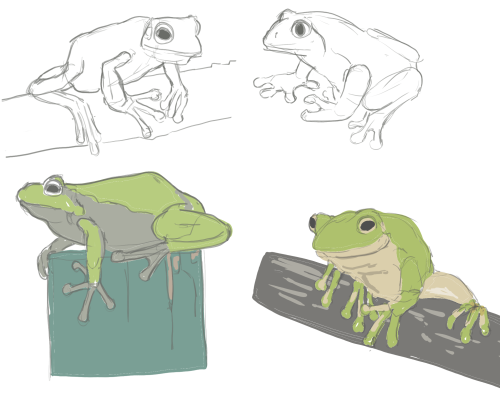 _1648528281.sketch337.png