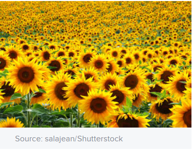 _1650638745.image.png