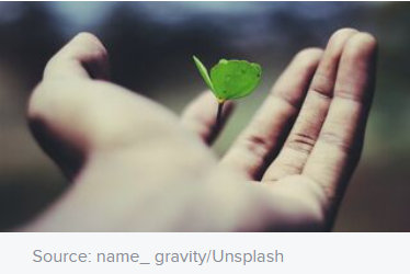 _1651635309.image.png