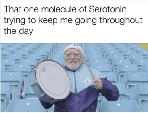 _1651847189.image.png