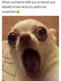 _1651847342.image.png