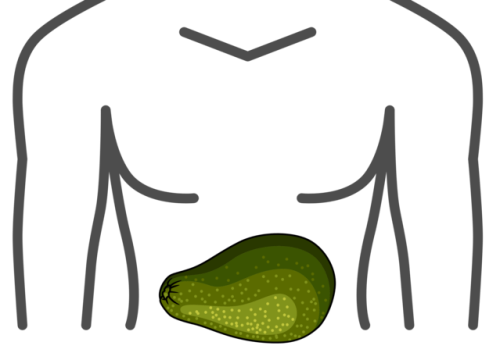 _1653240742.image.png