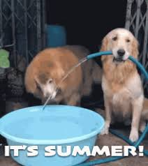 _1653776096.image.png