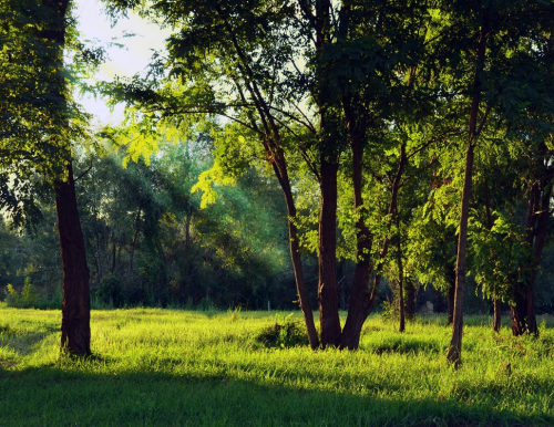 _1654363864.image.png
