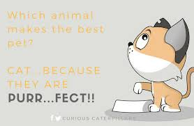 _1654716490.image.png