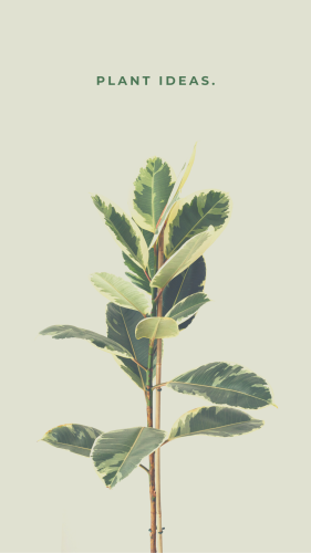 _1655794557.46AF23D7-A7E5-4D1C-AA42-2B6652A12B9D.png