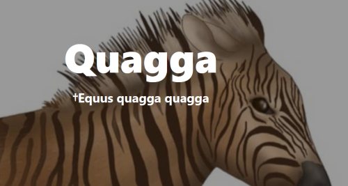 _1657685228.Quagga.png
