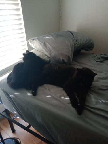 _1660273549.Paris and Worm.jpg