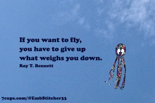 _1660465701.000 if you want to fly.png