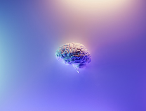 _1662342389.image.png