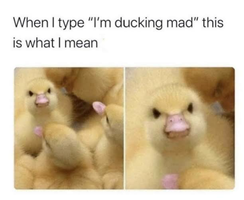 _1664083891.image.png