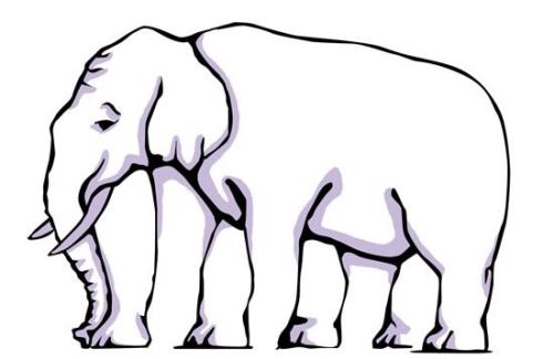 _1667606639.elephant-legs.jpg