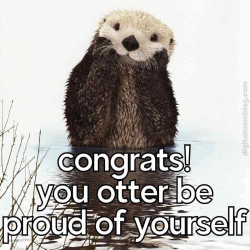 _1667656736.otter-congrats-meme.jpg