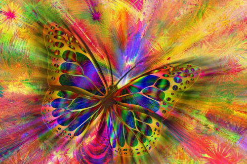 _1668555719.image.png