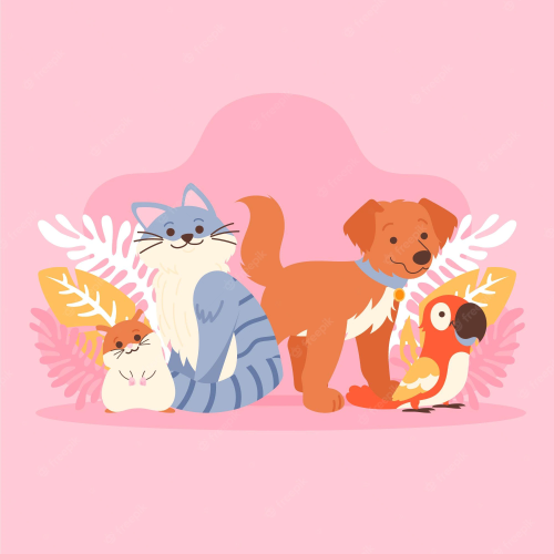 _1668696490.image.png