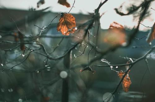 _1669630979.rain.jpg