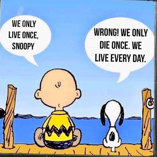 _1669948313.We-only-live-once-charliebrown.jpg