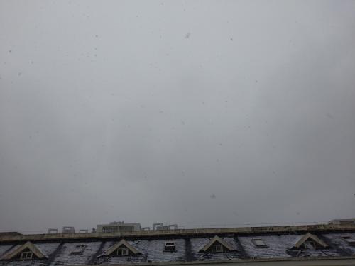 _1670320899.IMG_20221130_152036.jpg